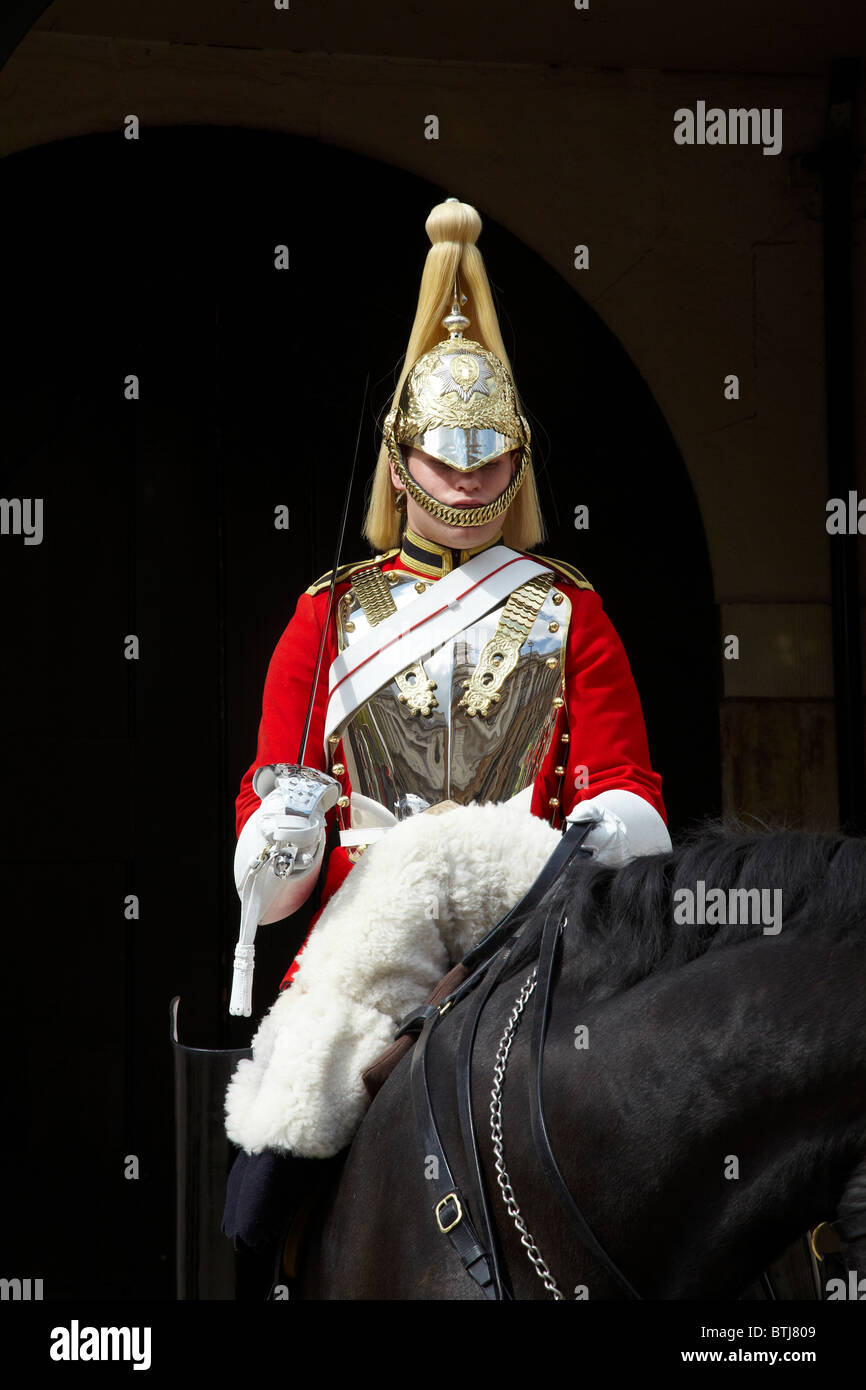 British Household Cavalry (Life Guards Regiment), Horse Guards Stock