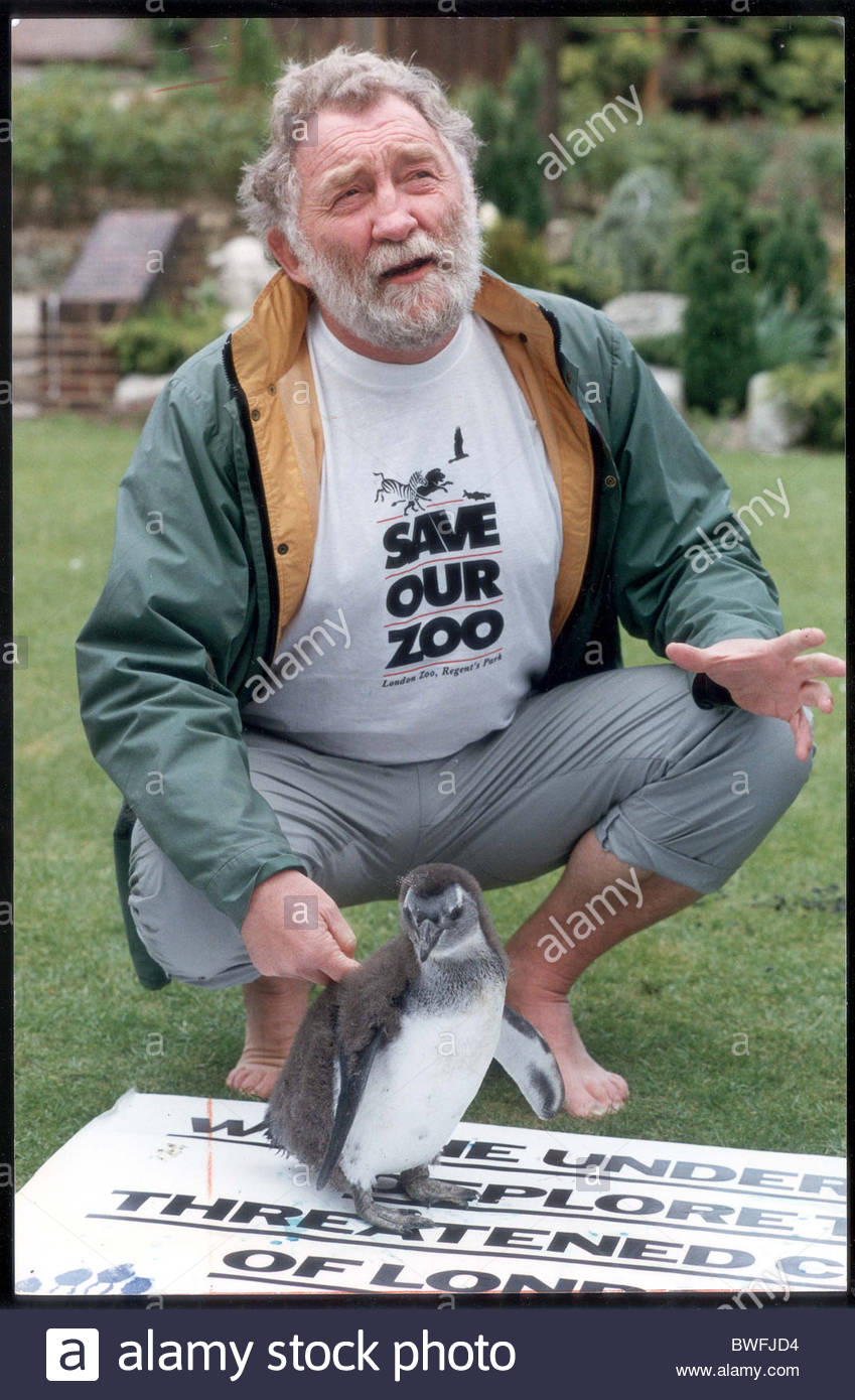 Today Zoo Images Hewan Lucu