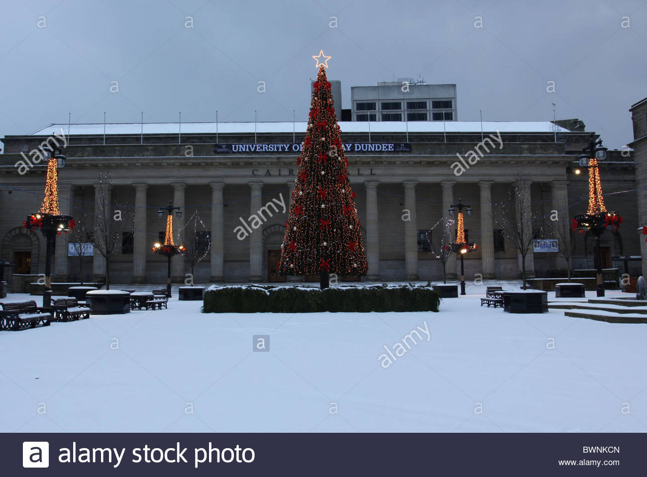Christmas Tree with fallen snow outside Caird Hall Dundee Scotland