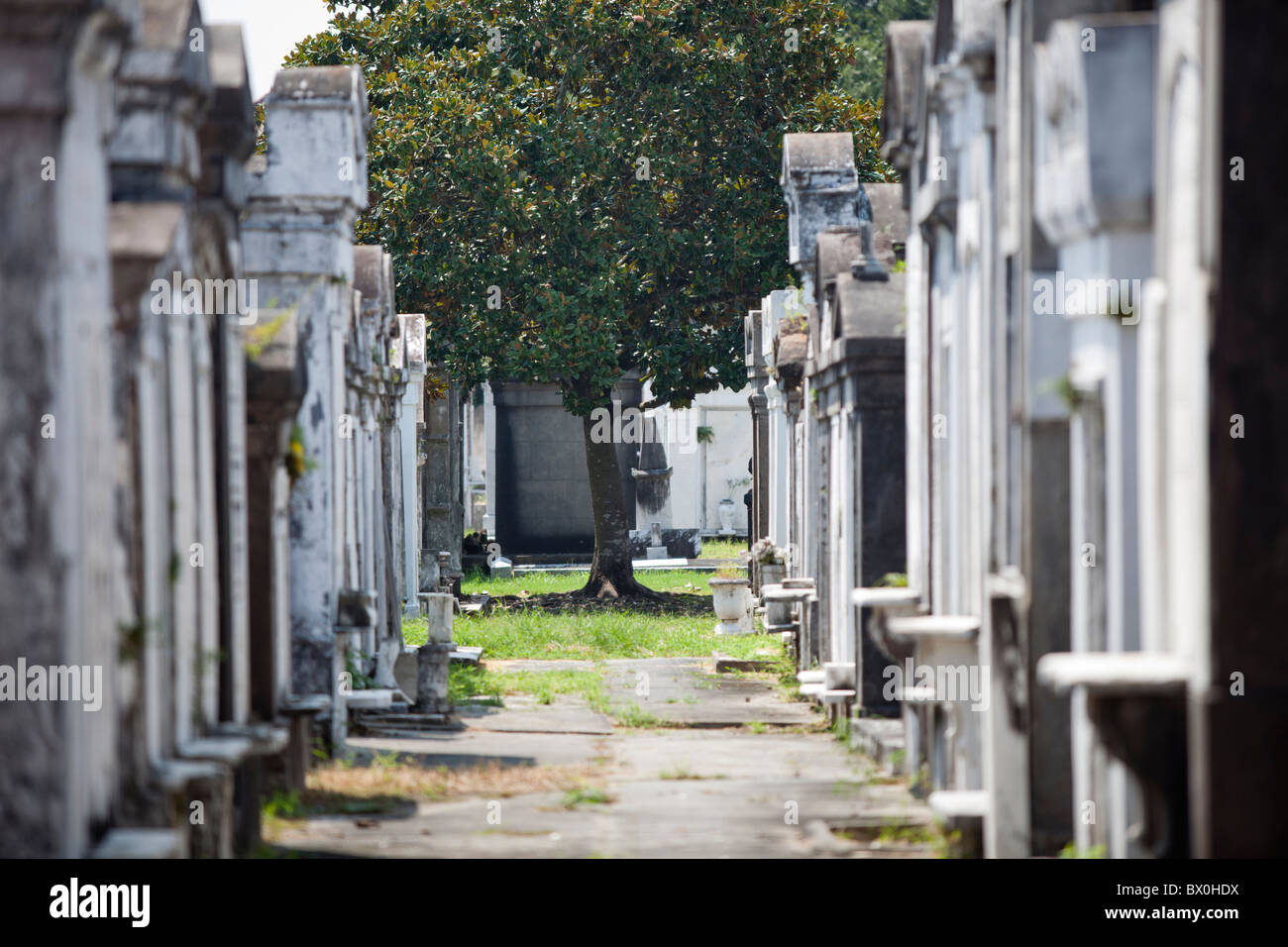 Lafayette Cemetery 1 is one of many aboveground cemeteries ("cities Stock Photo, Royalty Free
