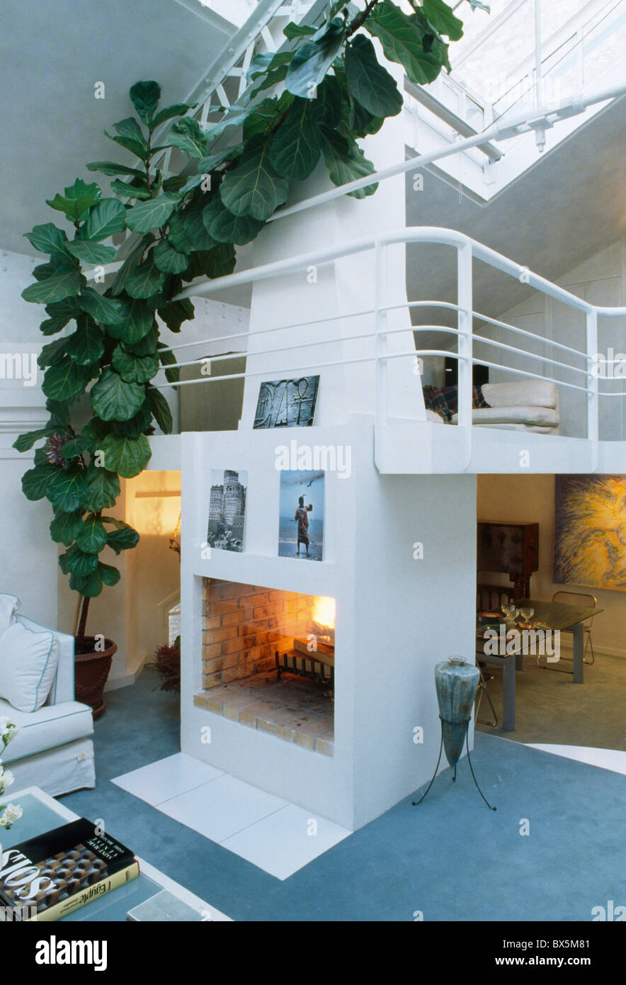 Mezzanine Loft Conversion tall climbing green houseplant beside fireplace in modern loft Mezzanine Loft Conversion tall climbing green houseplant beside fireplace in modern loft
