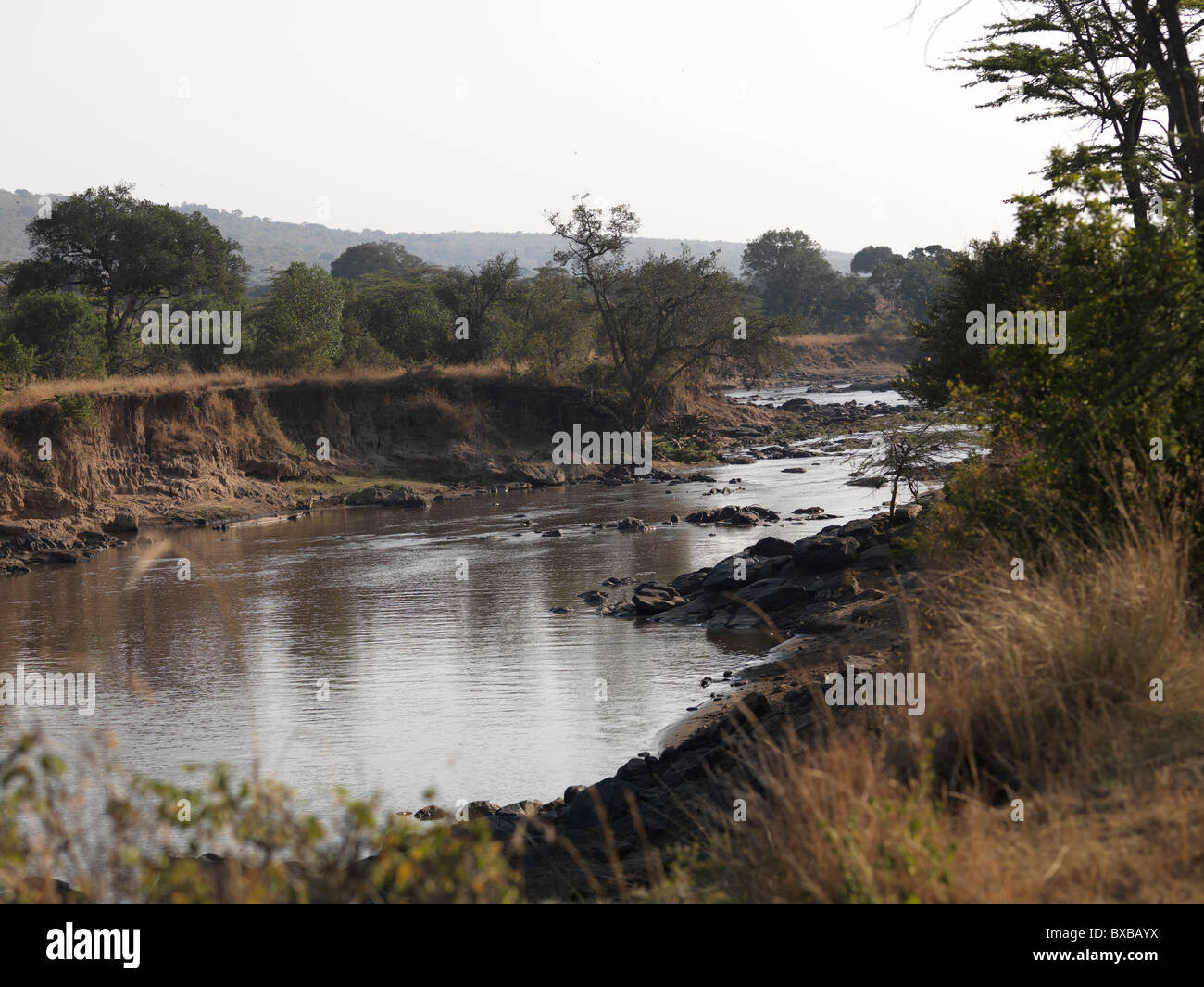 Pond in Kenya Africa Stock Photo, Royalty Free Image 33441518 Alamy