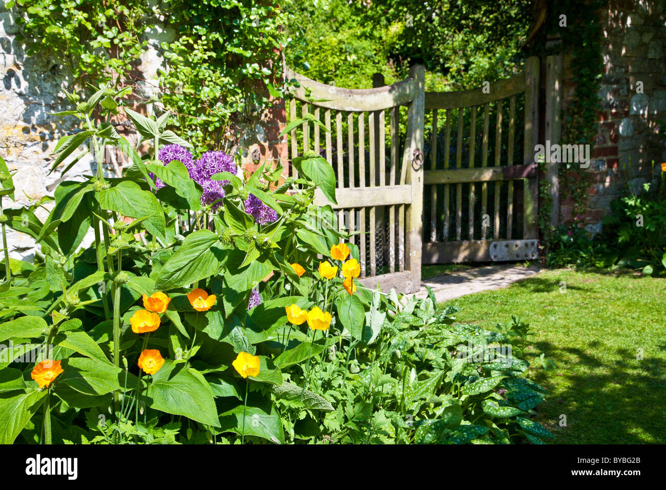 An Open Wooden Garden Gate In An English Country Garden In Summer With Californian Poppies And An Open Wooden Garden Gate In An English Country Garden In Summer With Californian Poppies And