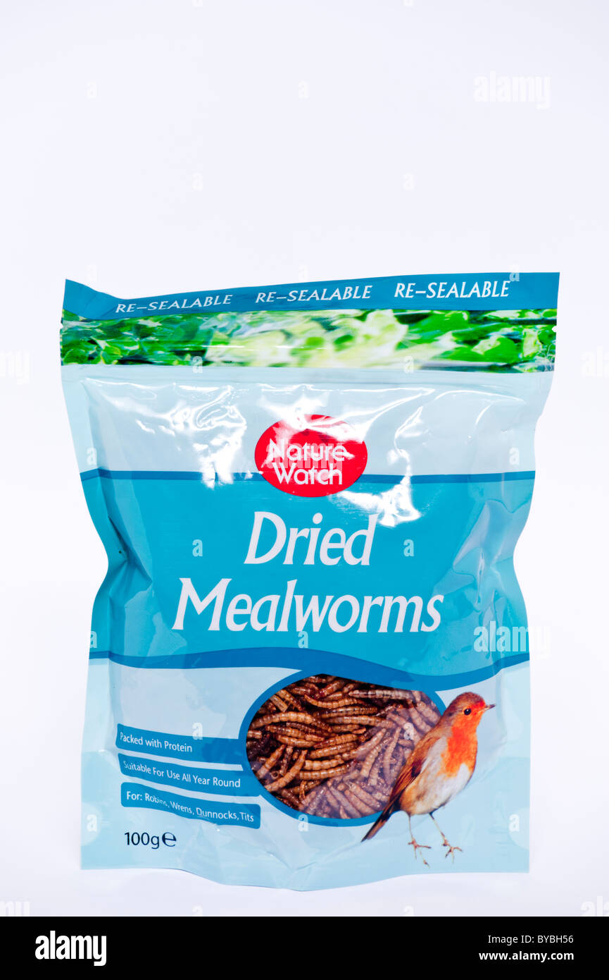 A packet of dried mealworms for feeding garden birds on a white Stock