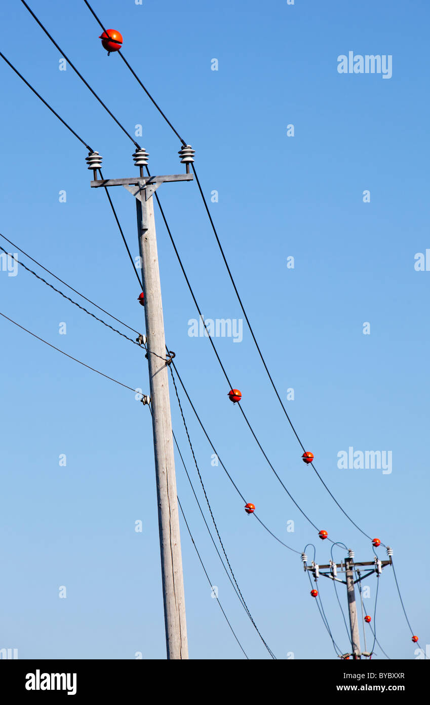 Red power line marker balls prevent accidental bird collisions Stock