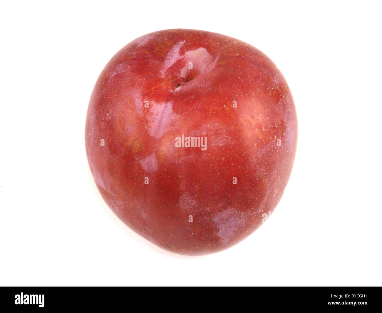 Plums Stock Photo, Royalty Free Image 34082525 Alamy