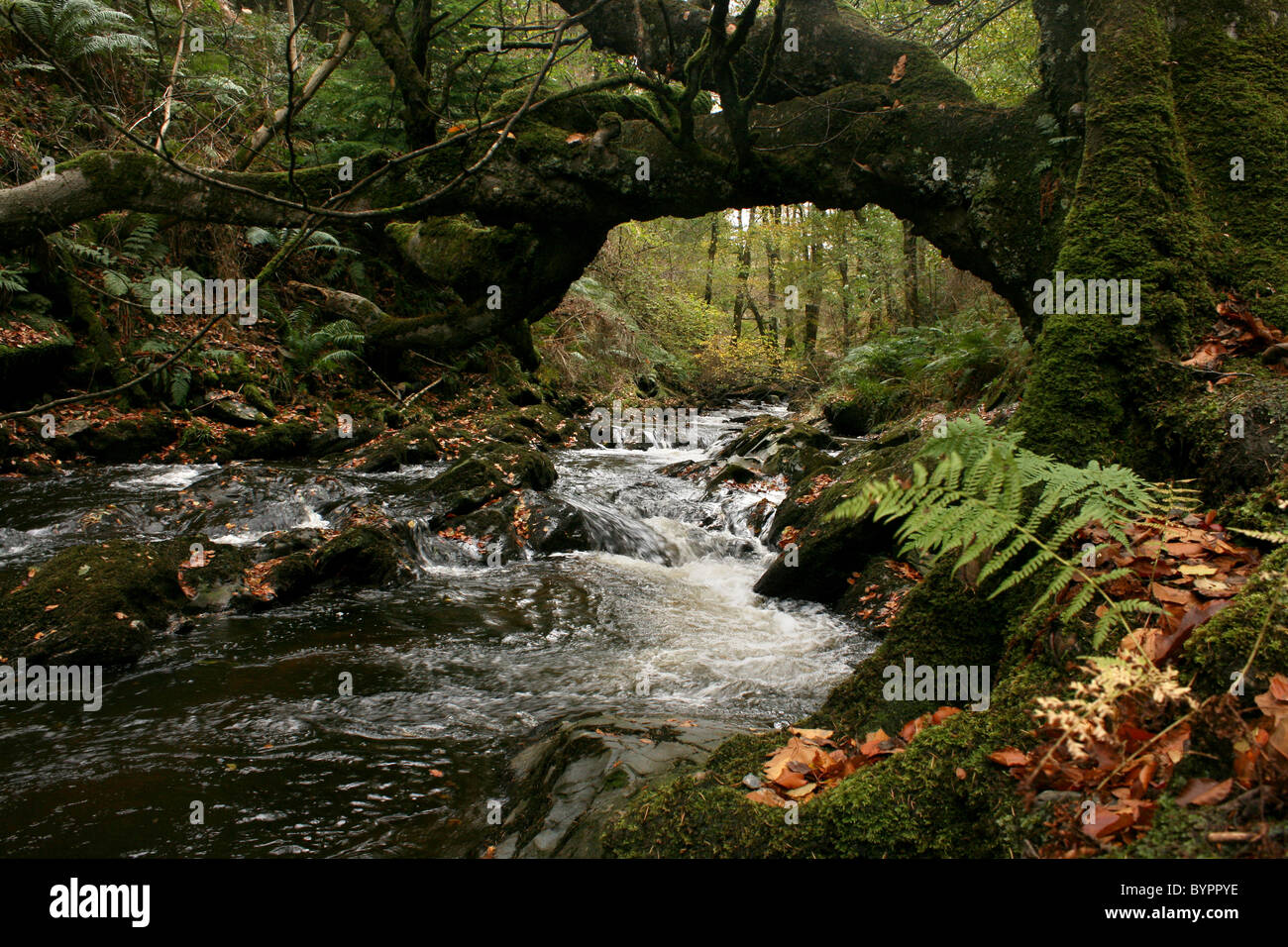 Glen Helen, Isle of Man Stock Photo, Royalty Free Image 34307042 Alamy