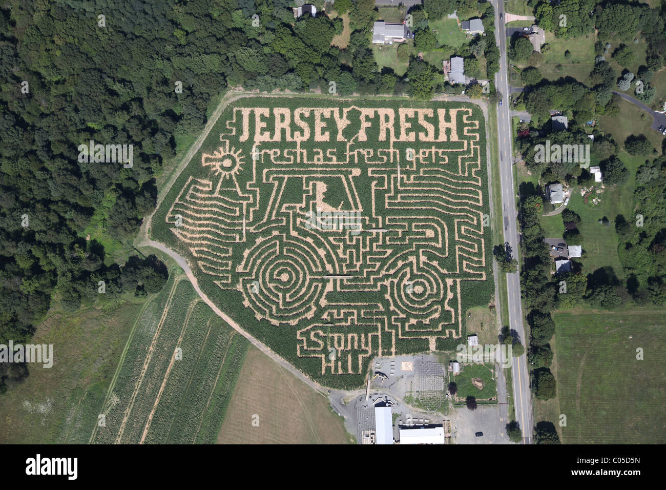 Aerial view of corn maze in Chester, New jersey USA Stock Photo