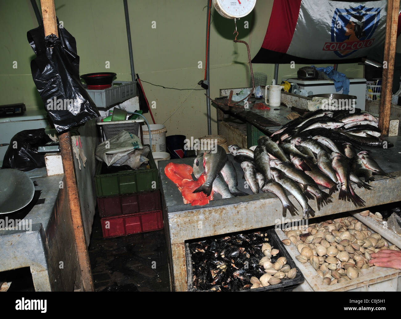 Wet fish market stall, weighscales boxes mussels cockles silver fish