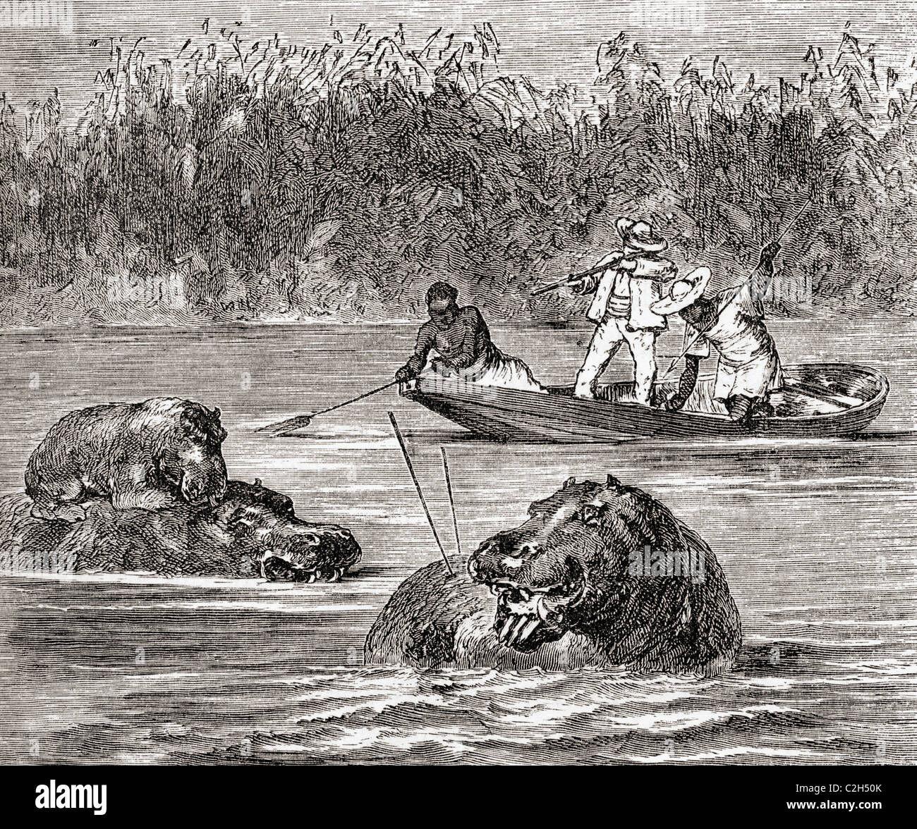 Hippopotamus hunting in Africa in the 19th century Stock Photo, Royalty