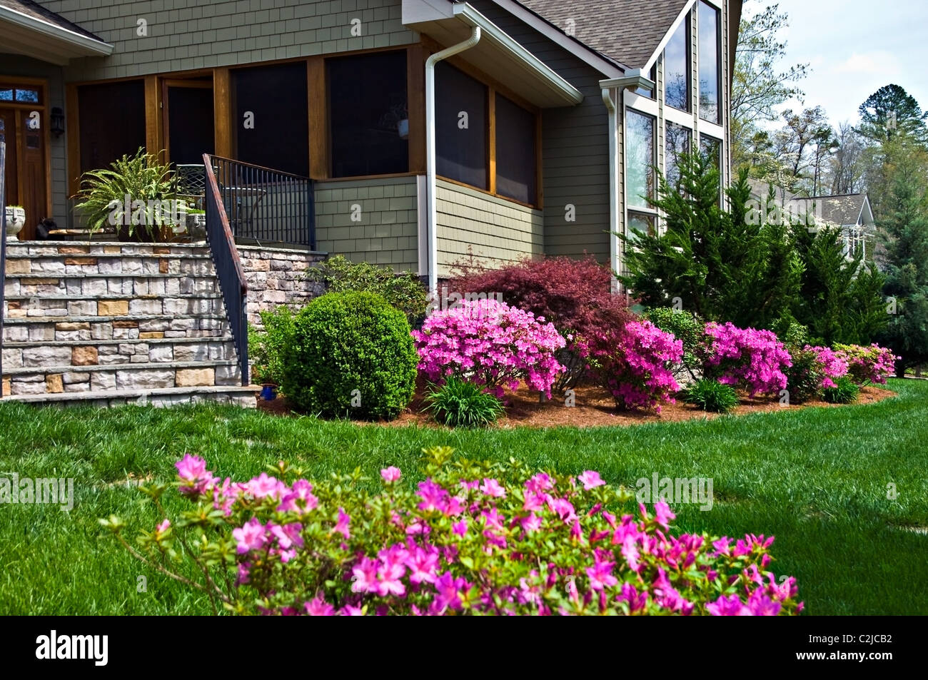 azaleas search front landscaping - 28 images - best 25 ...