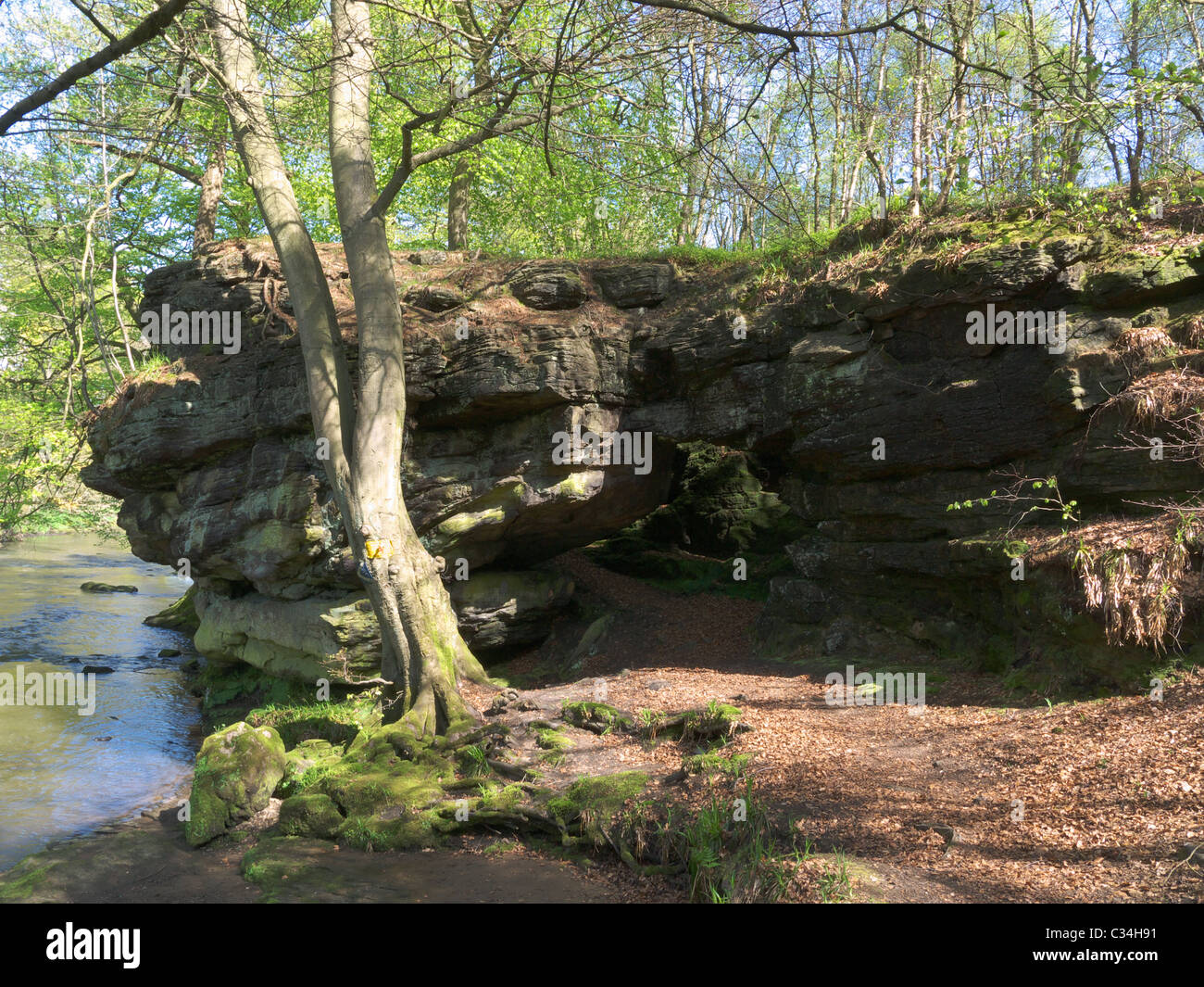 Wallace's Cave is a natural geological feature on the West Lothian