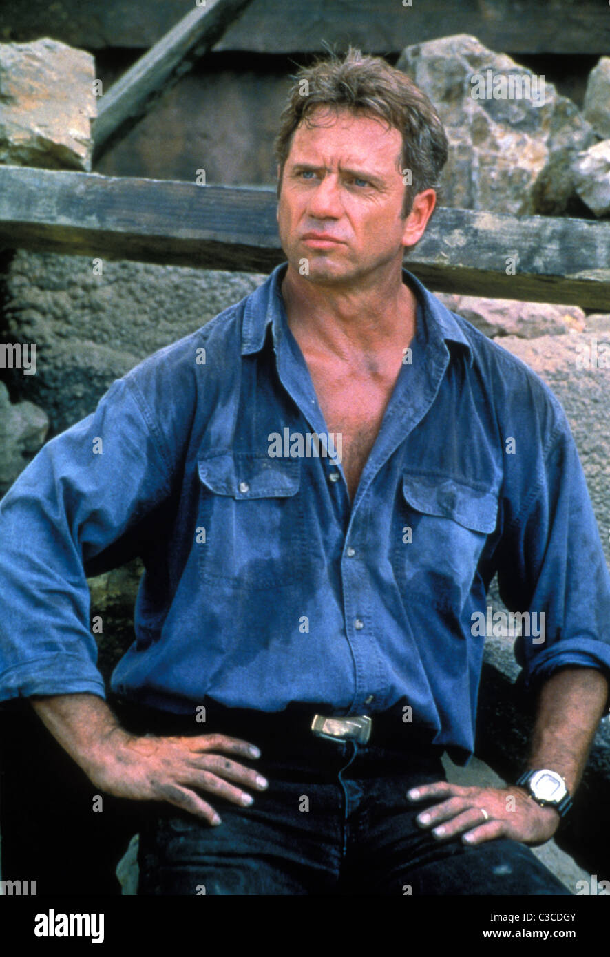 TOM WOPAT METEORITES (1998 Stock Photo, Royalty Free Image: 36538795