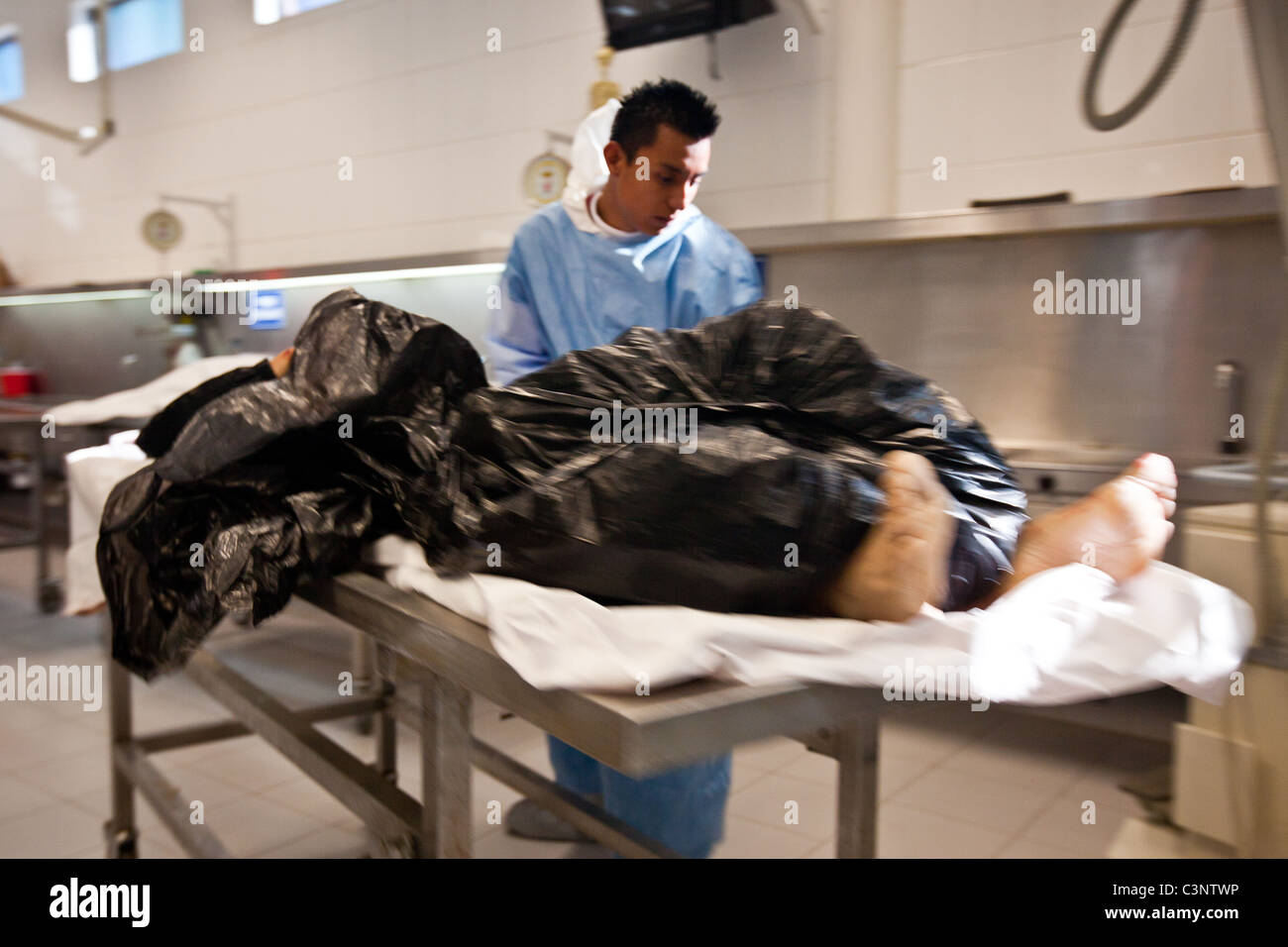 Forensic experts perform autopsies on victims of drug shootings and ...