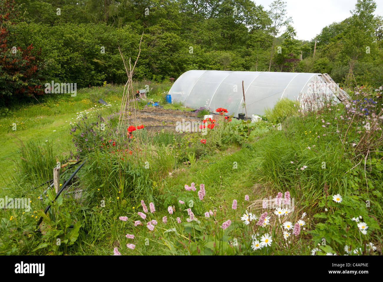 Garden tunnel stock photos & garden tunnel stock images alamy