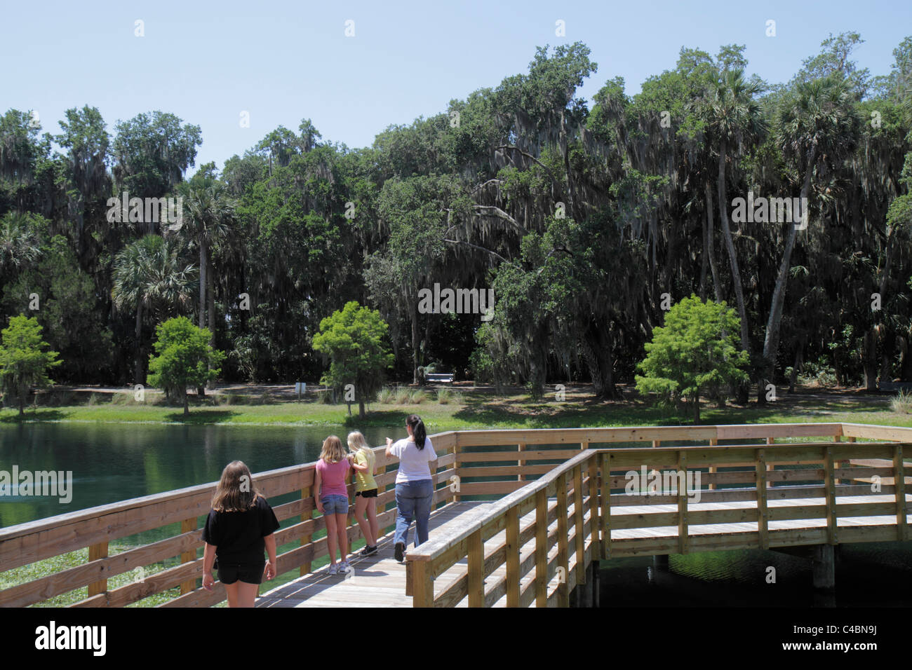 single women in orange springs Meet jewish singles in your area for dating and romance @ jdatecom - the most popular online jewish dating community. single women in orange springs Meet jewish singles in your area for dating and romance @ jdatecom - the most popular online jewish dating community.