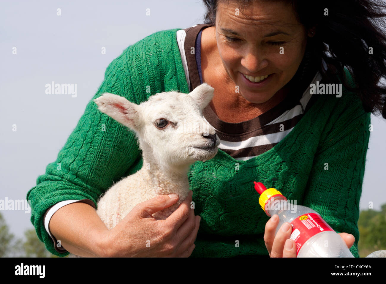 Woman feeding a young lamb Stock Photo, Royalty Free Image 37164130