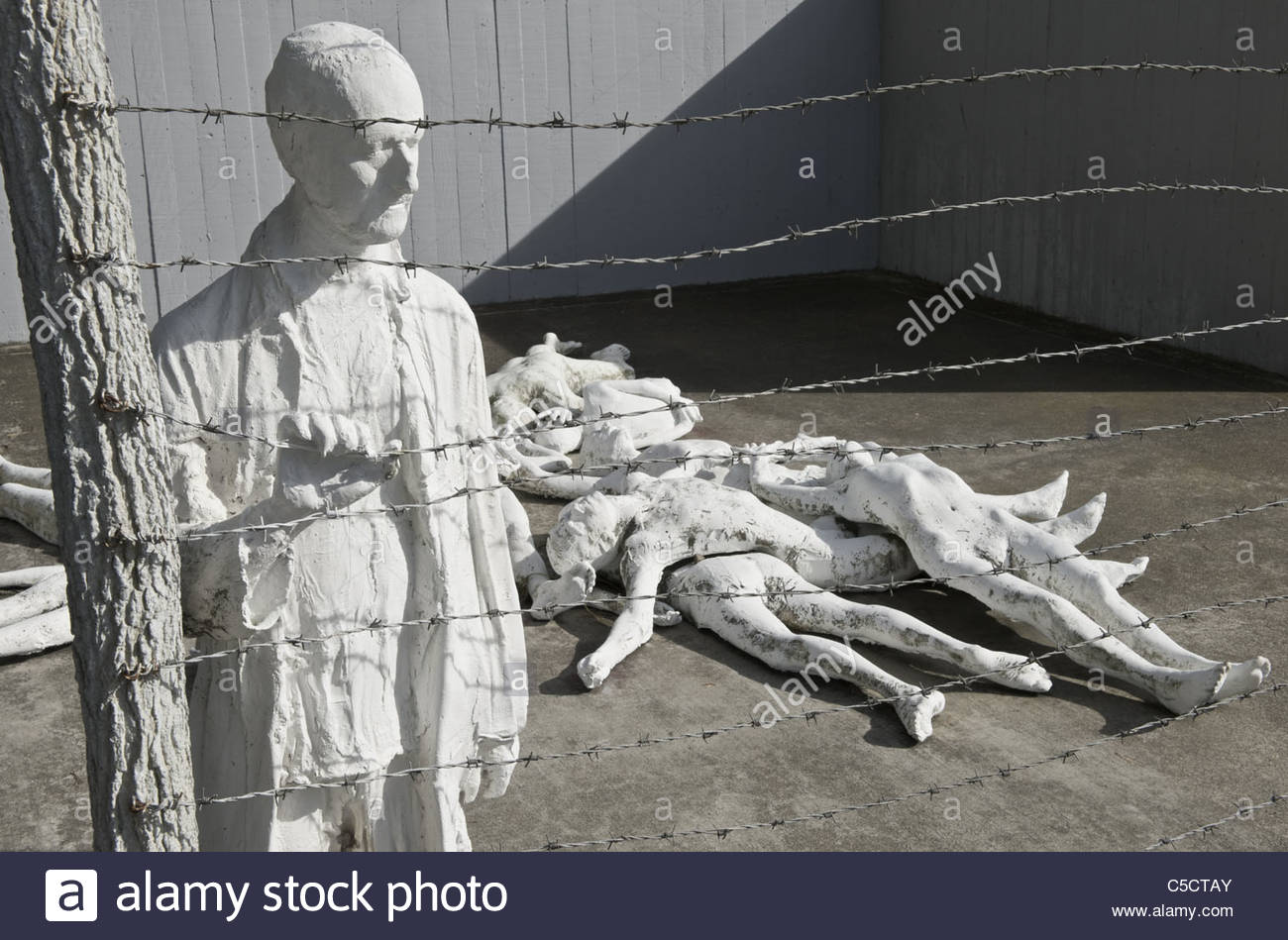 ww2 holocaust In this picture, which was made between 1941 and 1943, and granted the paris holocaust memorial, a german soldier aims at ukrainian jew during a mass execution in vinnitsa. ww2 holocaust In this picture, which was made between 1941 and 1943, and granted the paris holocaust memorial, a german soldier aims at ukrainian jew during a mass execution in vinnitsa.