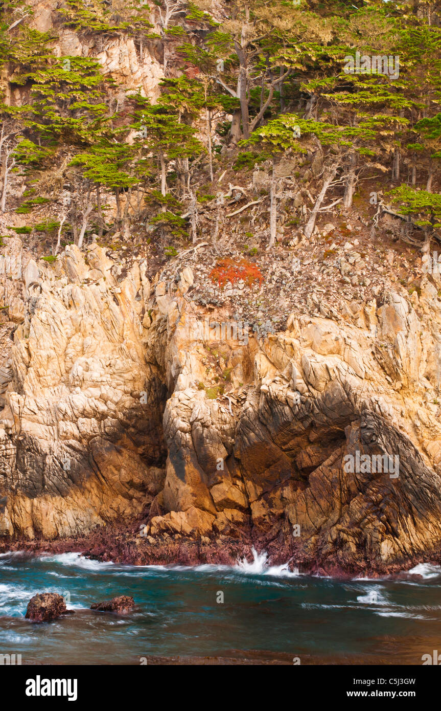 Rocky Cliff Along The Cypress Grove Trail Point Lobos State Reserve