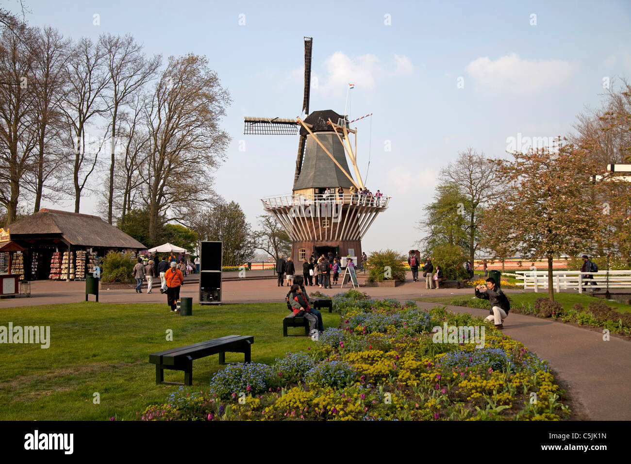 Netherlands Windmill Tulip Hi Res Stock Photography And Images Alamy