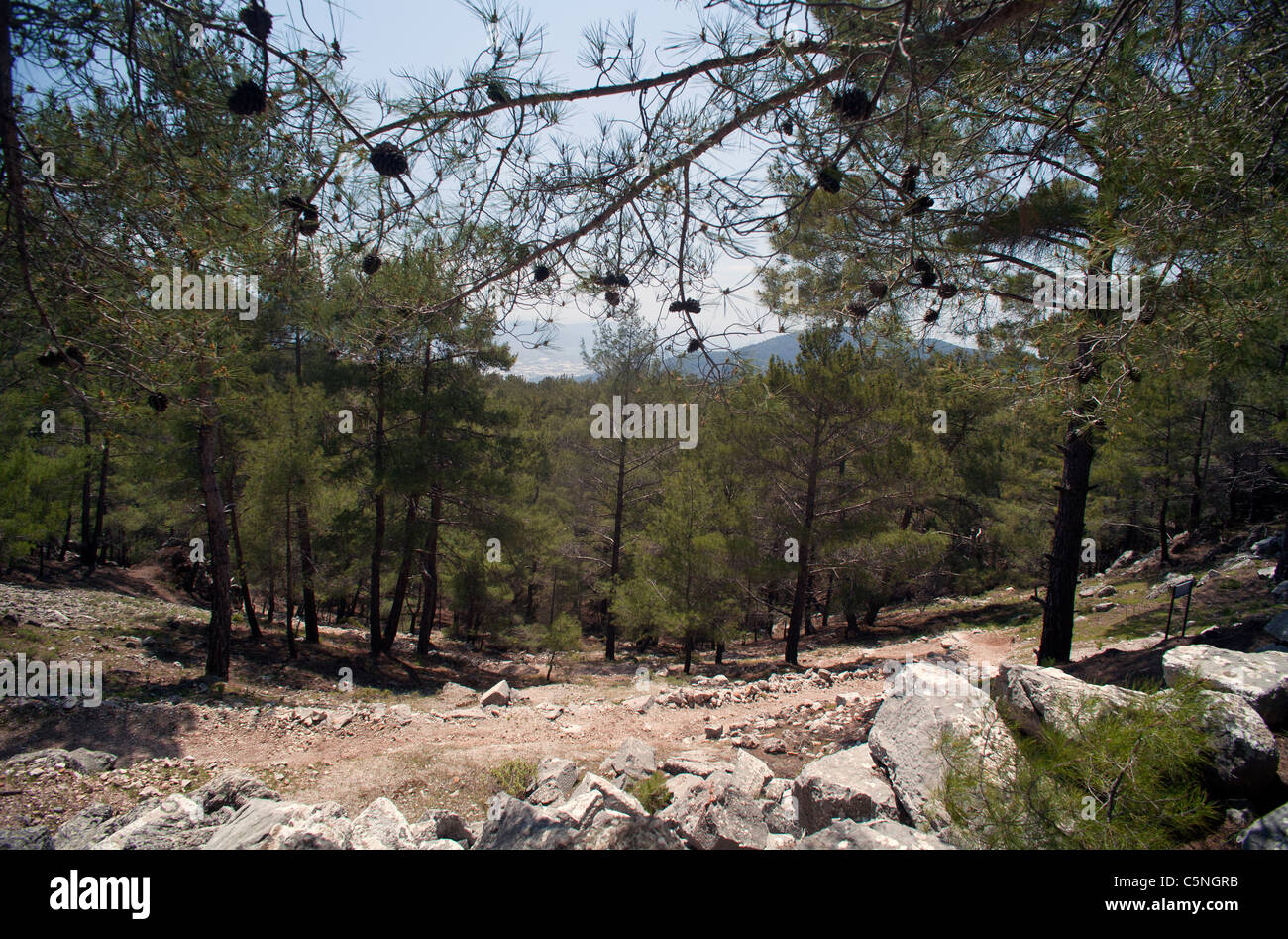 Turkey Kadyanda Ancient City Near Fethiye Stock Photo Alamy