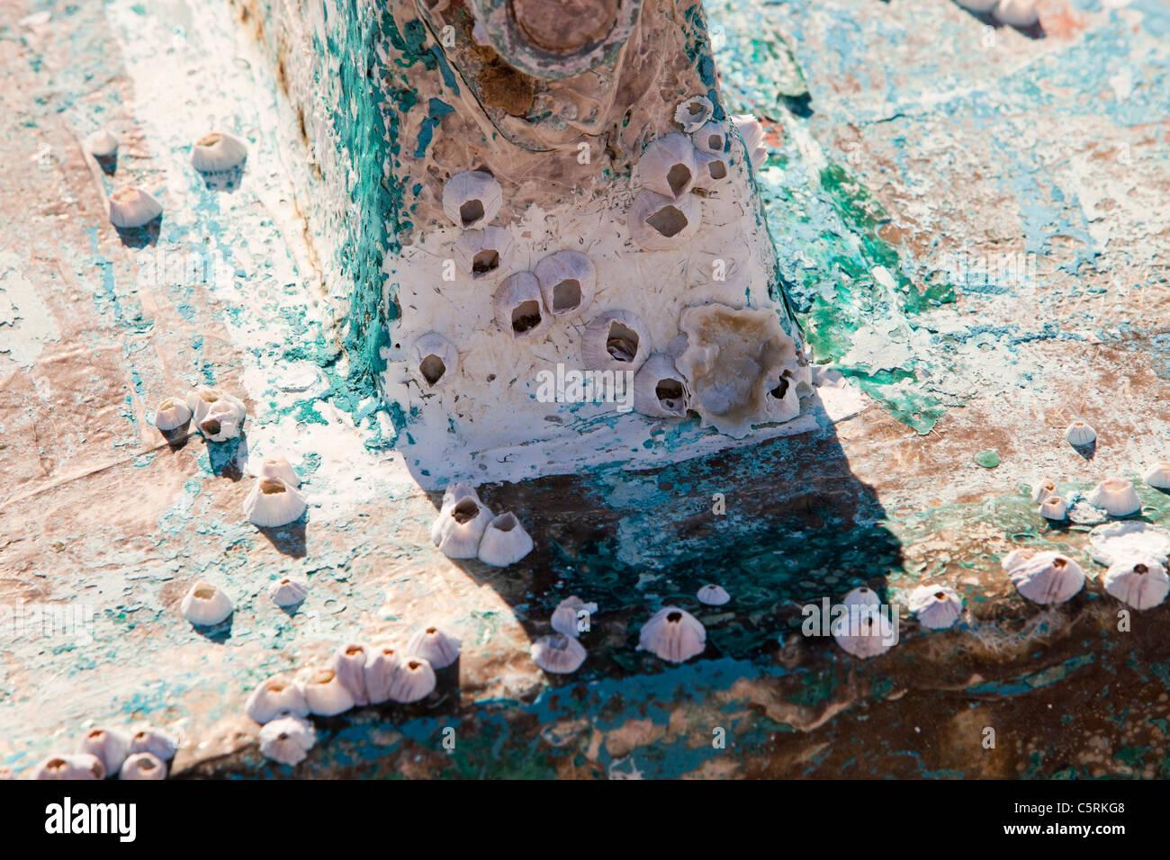 An Old Traditional Greek Fishing Boat On The Beach At Skala Eresou