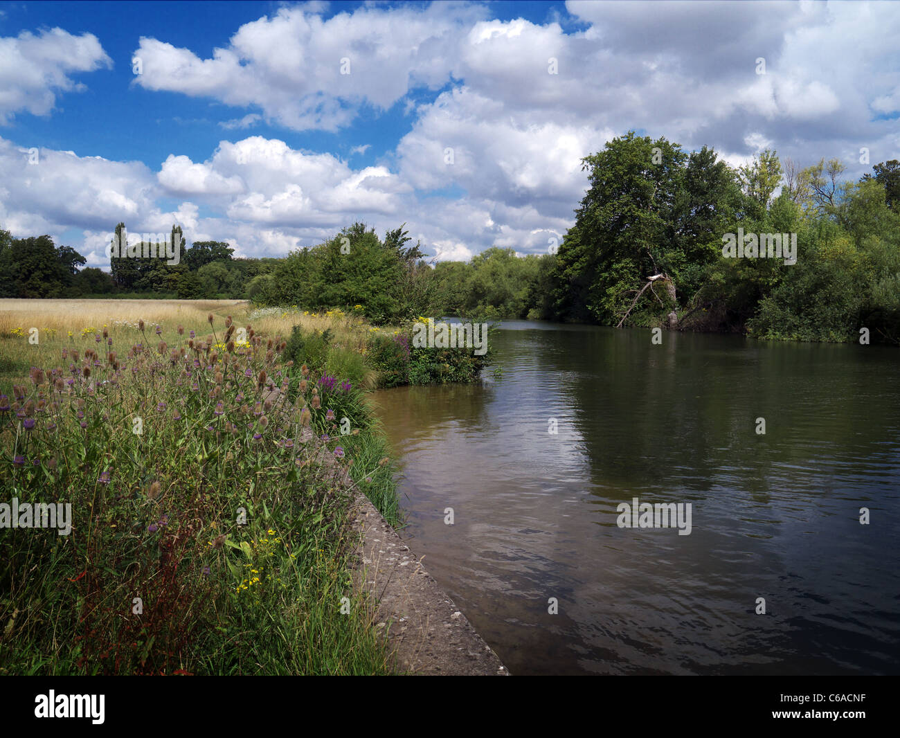 English riverbank Stock Photo, Royalty Free Image 38338203 Alamy