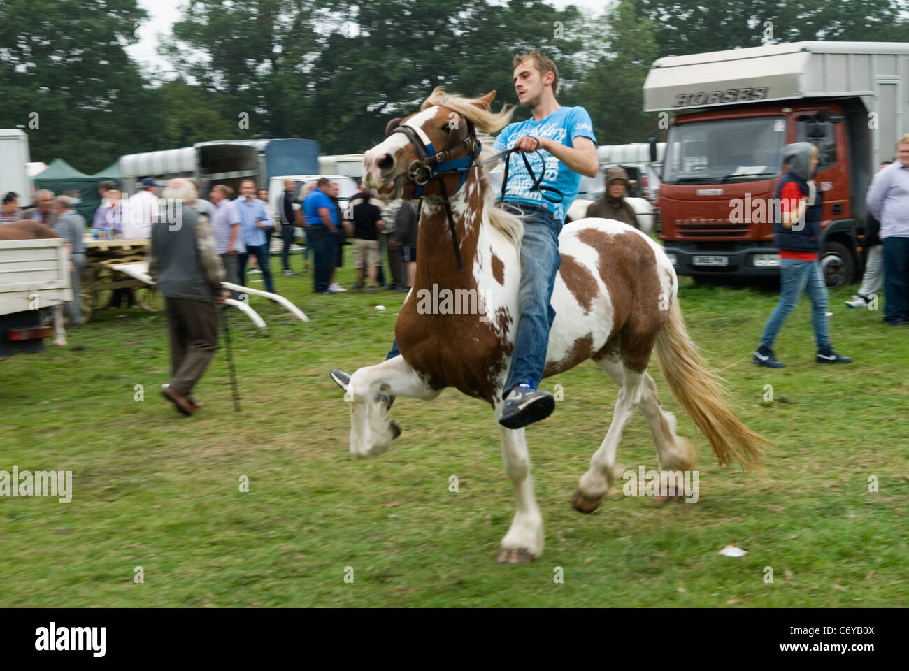 Gypsy Horse Fair Hertfordshire UK. Showing a horse. HOMER Stock