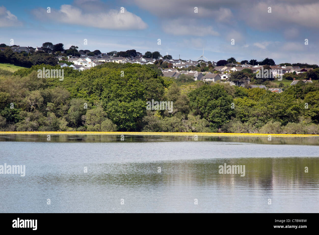 College Reservoir; near Penryn; Cornwall; UK Stock Photo, Royalty Free