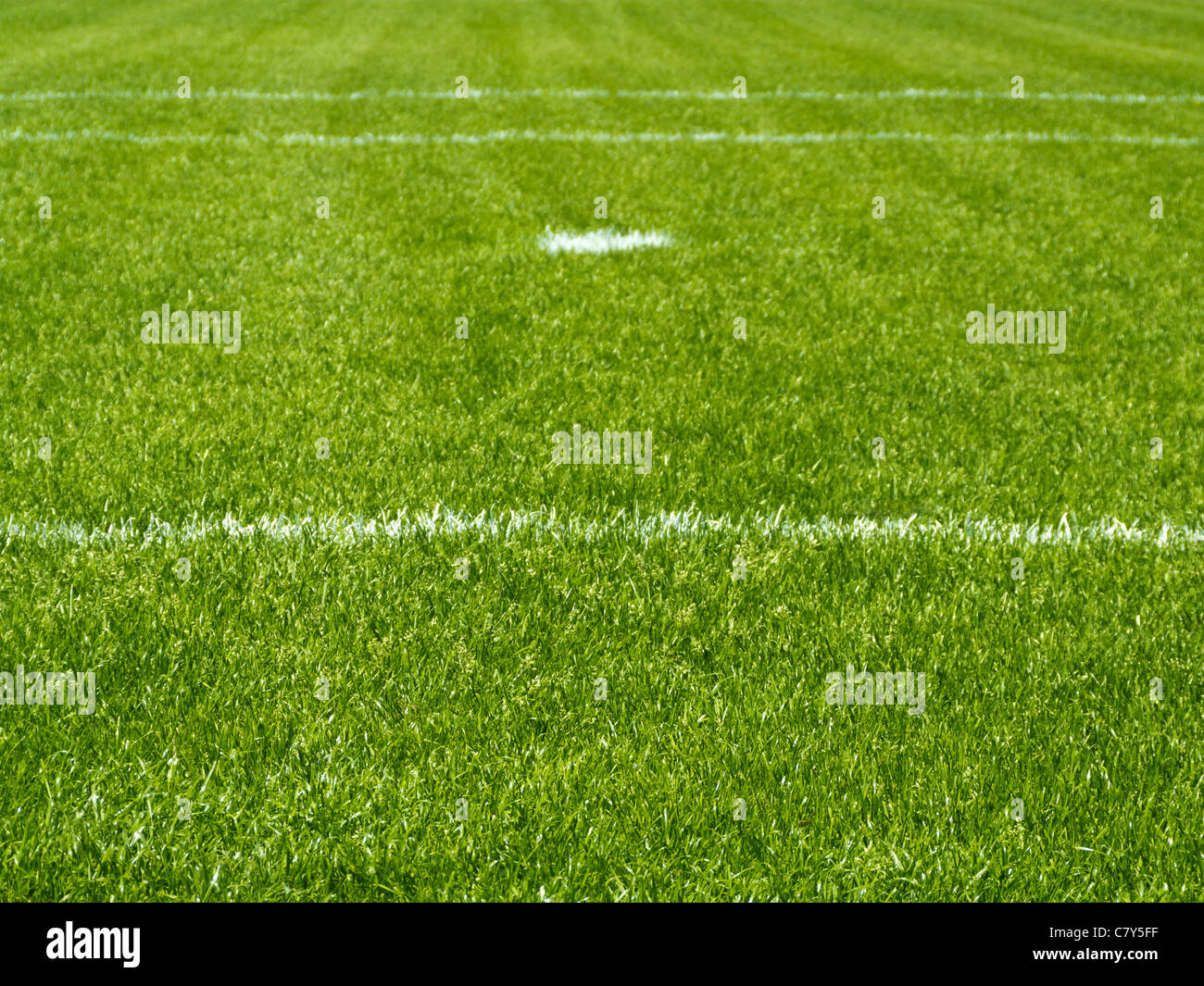Soccer Field Markings Stock Photo, Royalty Free Image 39320387 Alamy