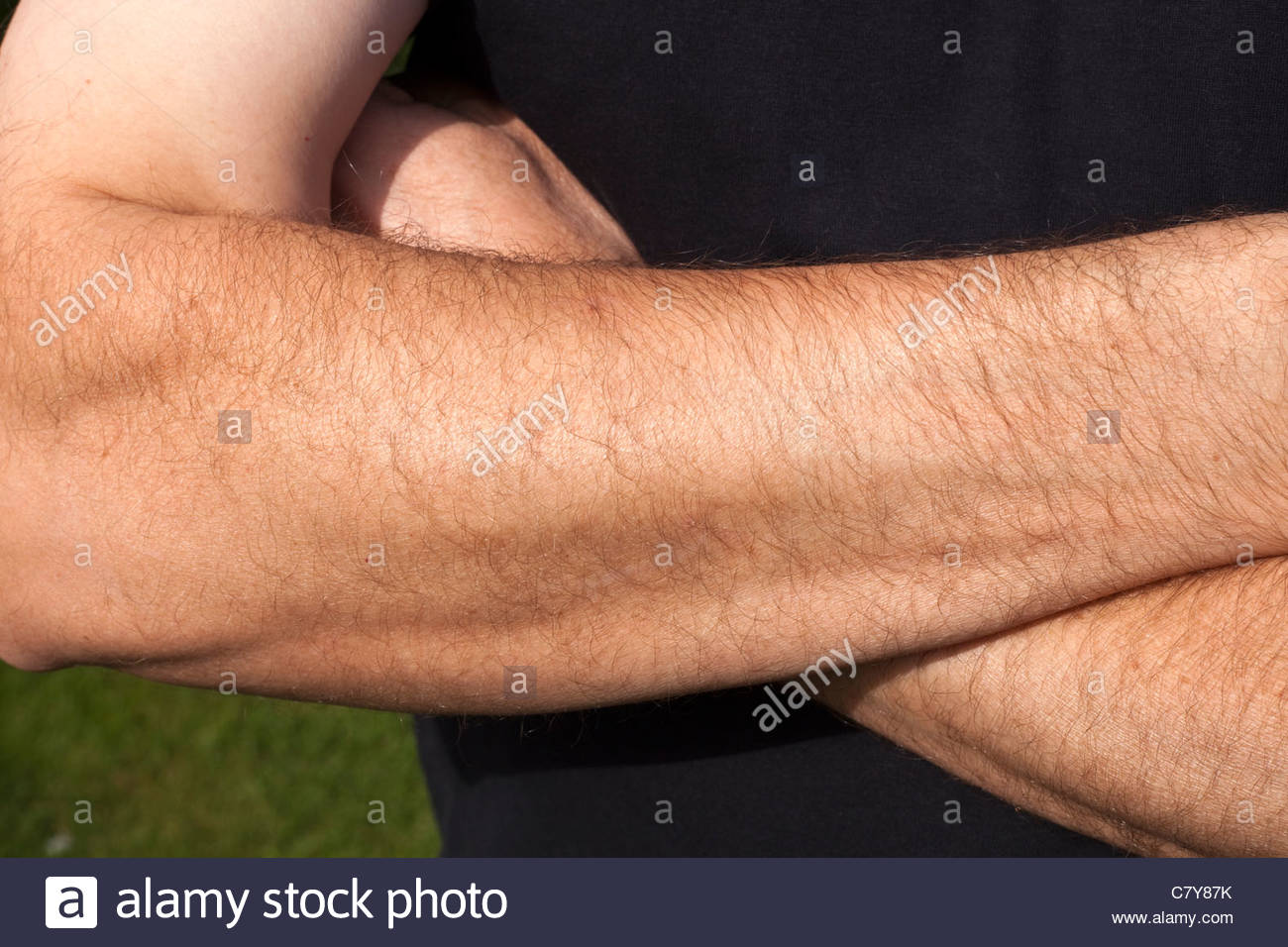 Hairy Male Arms 88