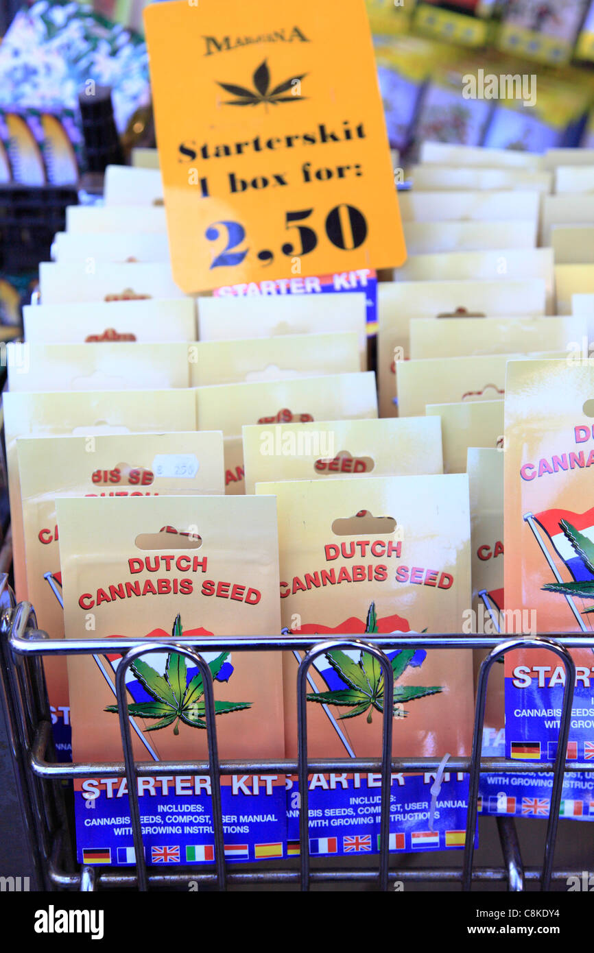 Amsterdam Holland Netherlands Cannabis seeds for sale at the Flower