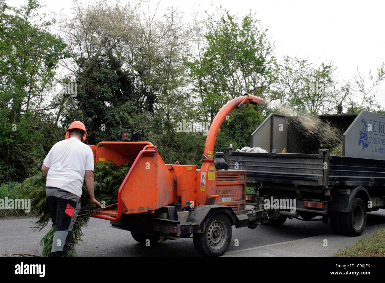 Felled Tree Shredding Stock Photo, Royalty Free Image 39967191 Alamy
