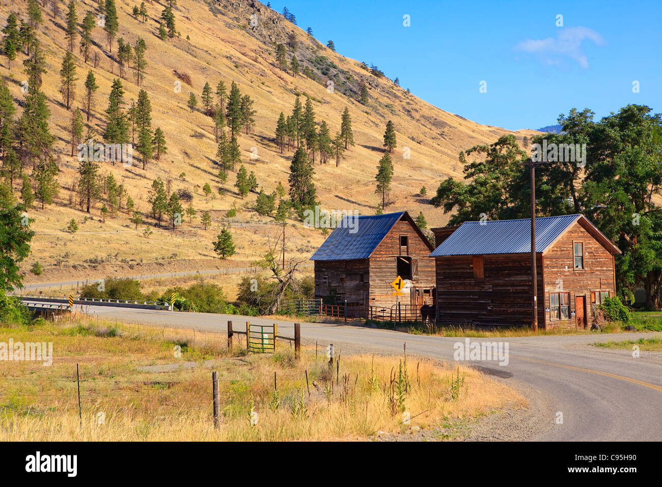 Image of Nighthawk, Washington Stock Photo, Royalty Free Image