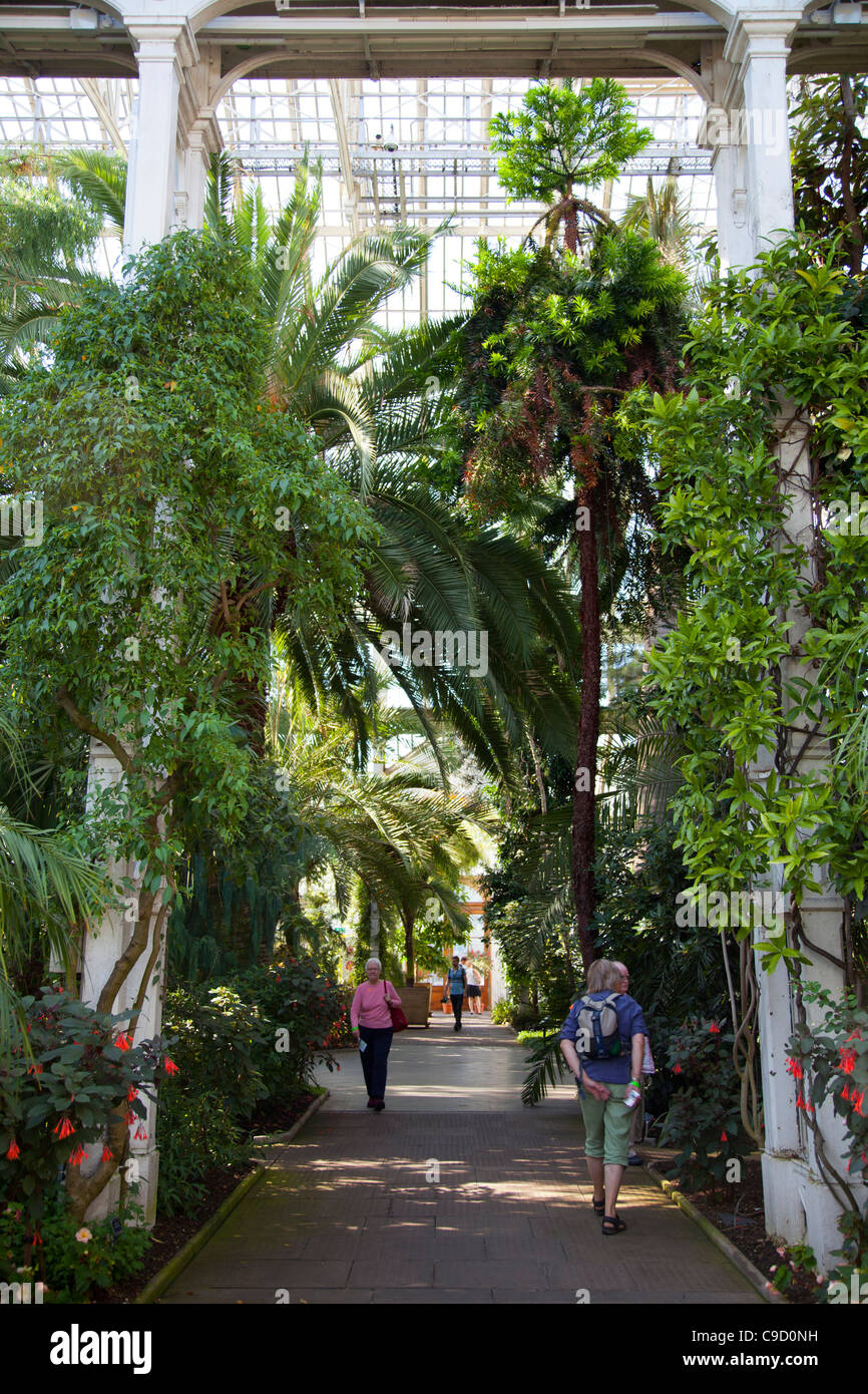 Temperate House Greenhouse At Kew Gardens In London Stock Photo Alamy