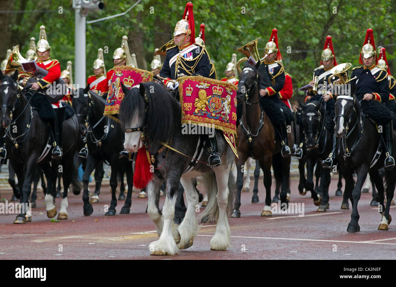 The band of the Household Cavalry, led by a drum horse, ride to Stock