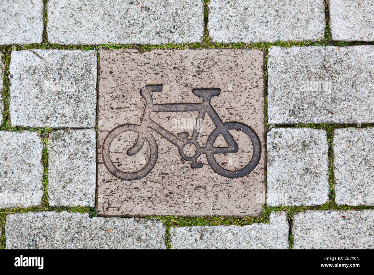 close-up-of-a-cycle-path-marker-in-the-p