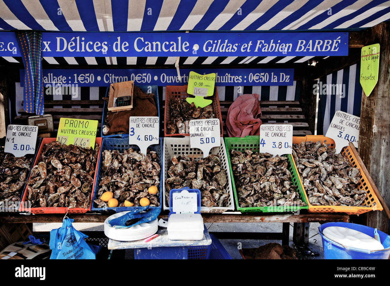 Oyster stall, Cancale, Brittany, France, Europe Stock Photo, Royalty