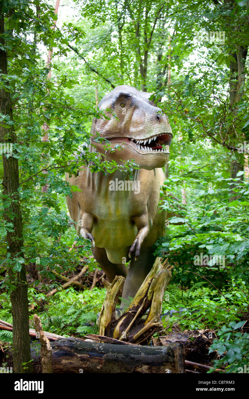 Tyrannosaurus T Rex in woods Stock Photo, Royalty Free Image 41727395