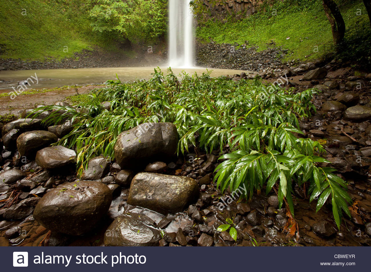 Waterfall Chorro Las Palmas, in Area recreativa El Salto de Las Stock