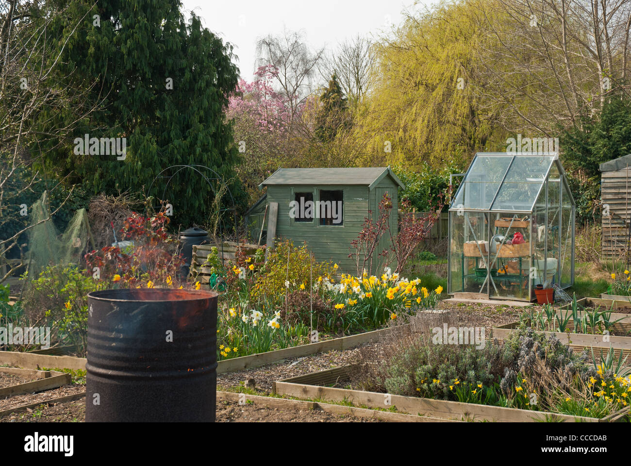 Greenhouse also DIY Chicken Co Op Greenhouse. on greenhouse plans from