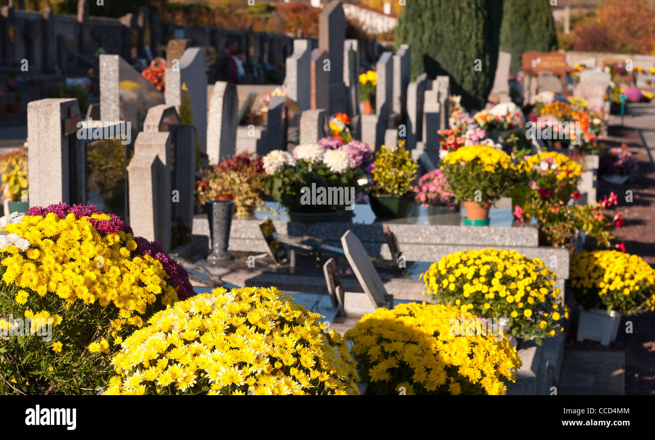 Chrysanthemum on a grave in a cemetery All Saints' Day, France Stock Photo, Royalty Free Image
