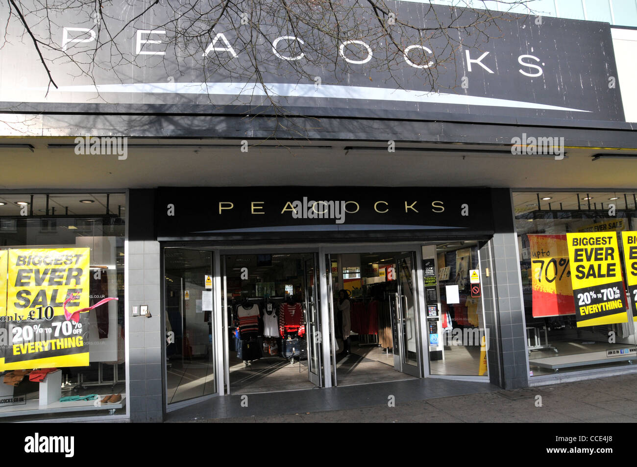 Chain clothing stores Online clothing stores