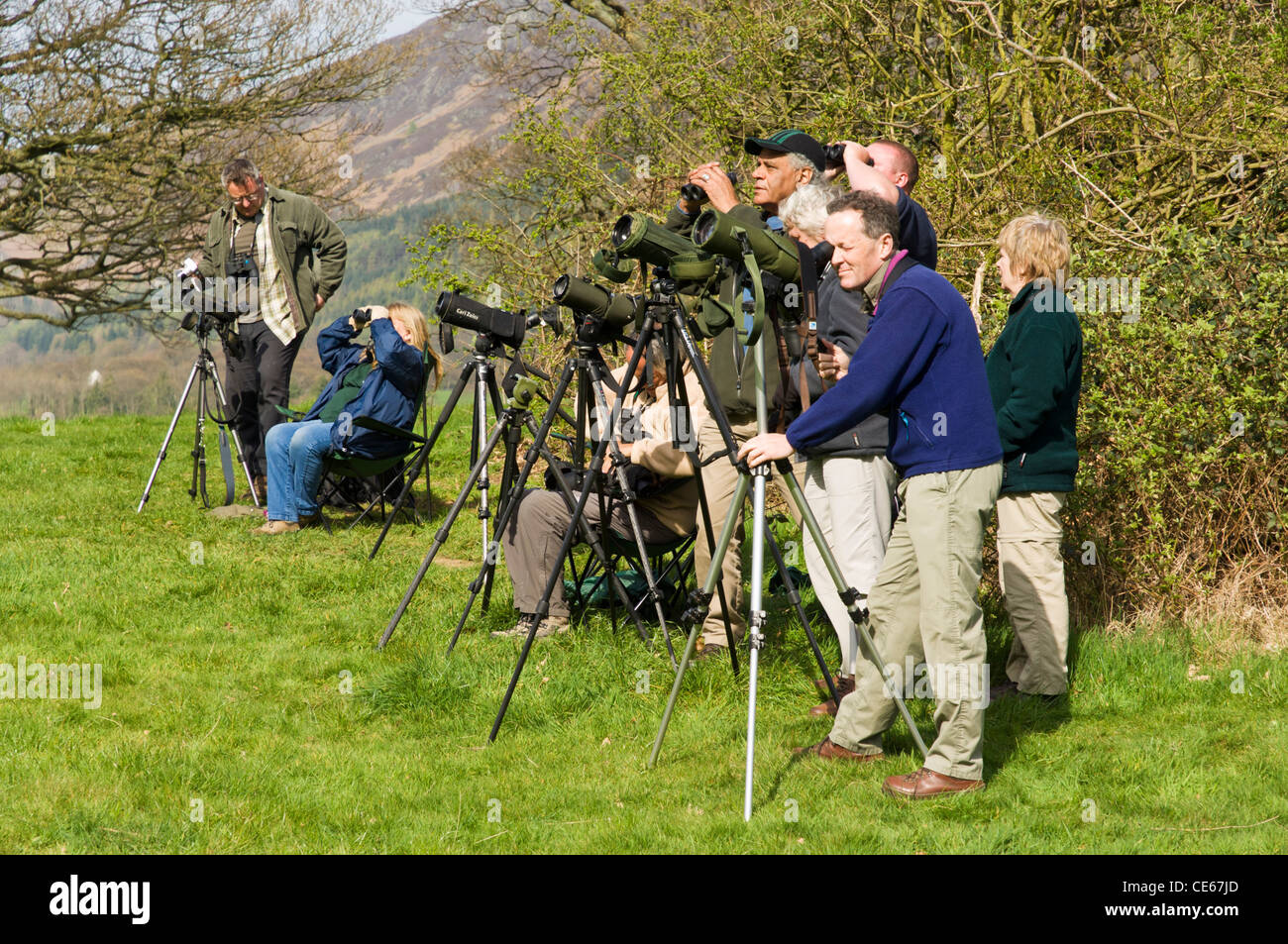 group-of-birdwatchers-twitchers-watching-birds-through-spotting-scopes-CE67JD.jpg