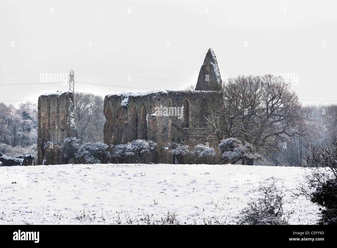 Newark Priory near Pyrford, Surrey, in snow impressive ruins of a