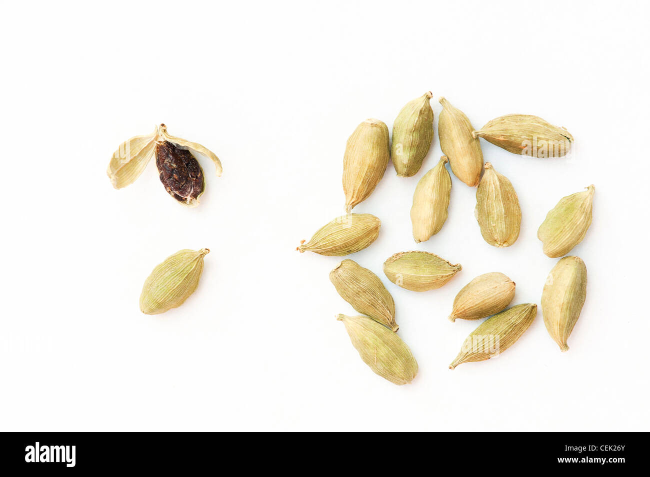 Cardamon seed pods on white background Stock Photo, Royalty Free Image