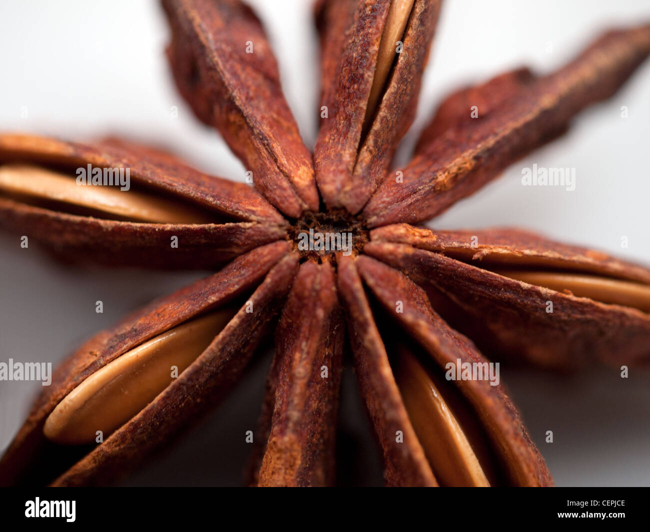 Illicium verum Stock Photo, Royalty Free Image: 43523326 - Alamy