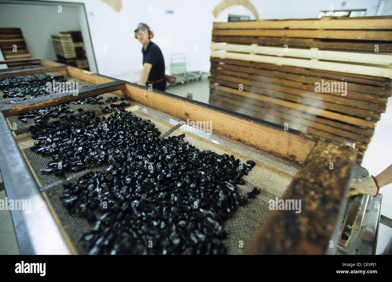 ITALY Calabria , Rossano , Amarelli factory produce liquorice Stock
