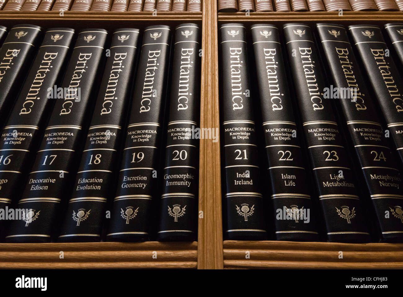 Home Library Shelves With Th Century Edition () Of - Home Library Shelves With Th Century Edition () Of Encyclopediabritannica In Classic Binding home library shelves with th century edition () of - home library shelves with th century edition () of encyclopediabritannica in classic binding