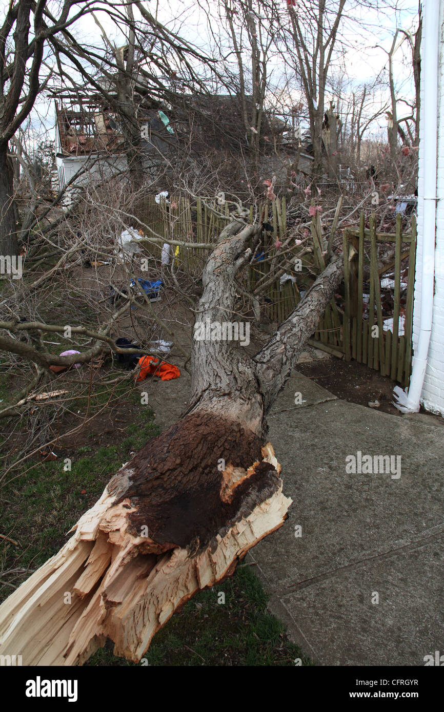 Tornado Damage Town Moscow Ohio Storm Stock Photo Alamy